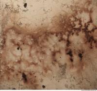 wall plaster dirty 0010